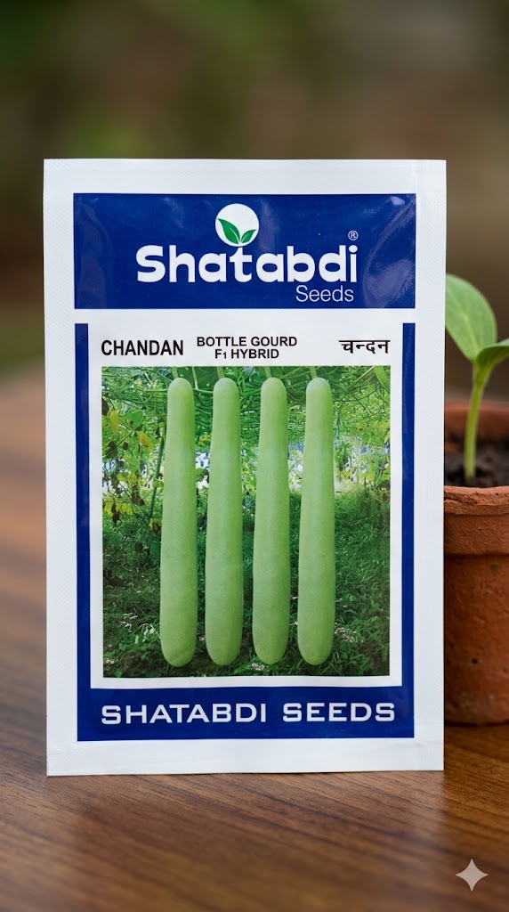 Chandan|Satabdi seeds| Hybrid Bottel Gourd| 10g