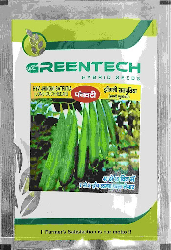 Panchwati| Greentech| Ridge Gourd| 10g