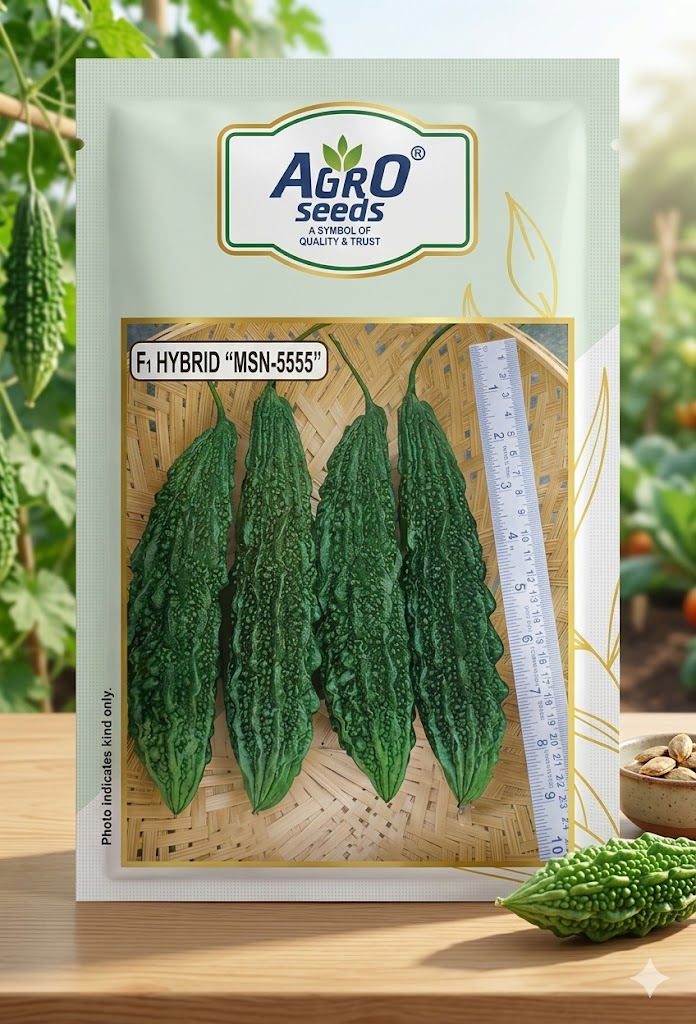 MSN-555| Agro Seeds| Hybrid Bittter Gourd| 10G 